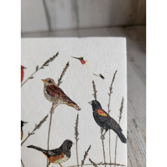 Variety‎ bird blue jay sketch book hummingbird cardinal unique - Picture 4 of 11